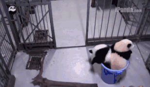 ΢ͼƬ_20170913093013.gif