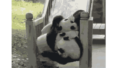 ΢ͼƬ_20170913093018.gif