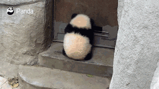 ΢ͼƬ_20170913093022.gif