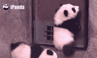 ΢ͼƬ_20170913093027.gif