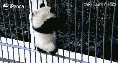 ΢ͼƬ_20170913093031.gif