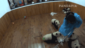 ΢ͼƬ_20170913093135.gif