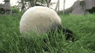 ΢ͼƬ_20170913093203.gif