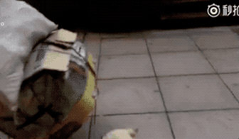 ΢ͼƬ_20170918112052.gif