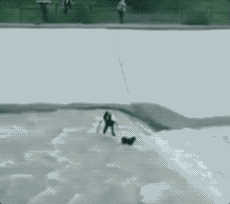 ΢ͼƬ_20170918112220.gif