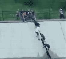 ΢ͼƬ_20170918112224.gif