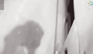 ΢ͼƬ_20170918112254.gif