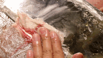 154551jw1obshs2yv5f58y.gif