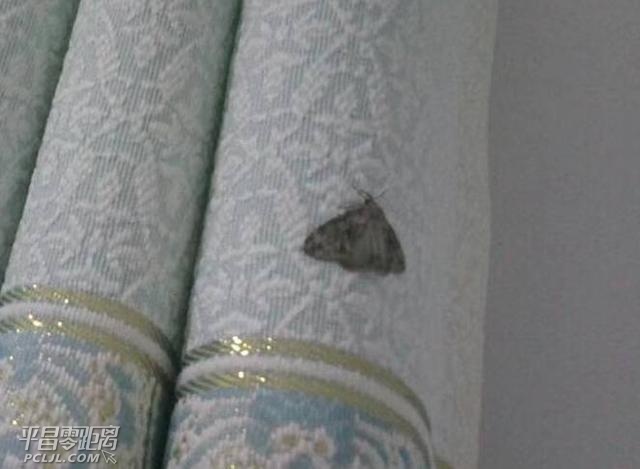 316b0007cad9b1ecb41b.jpg