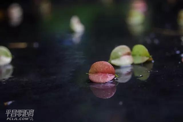 ΢ͼƬ_20170923140754.jpg
