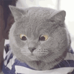 ΢ͼƬ_20170925102628.gif