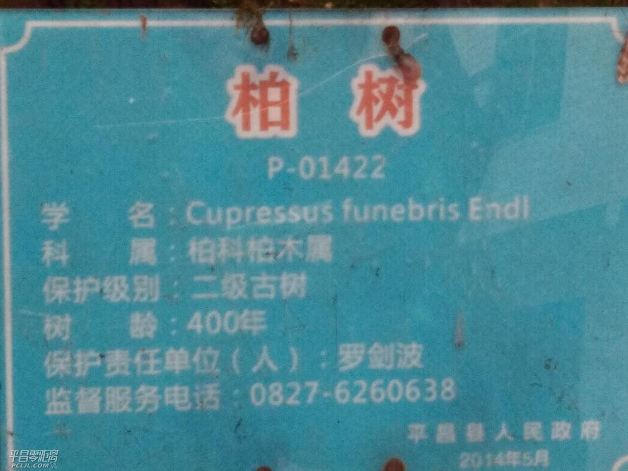 10683baf0a886730c1c.jpg