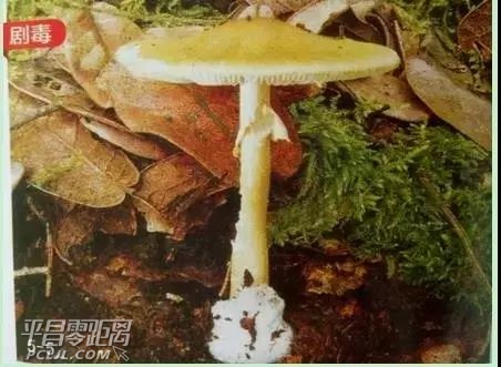 ΢ͼƬ_20170928114658.jpg