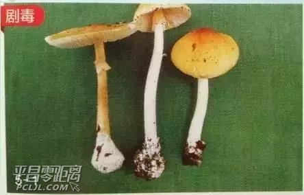 ΢ͼƬ_20170928114716.jpg