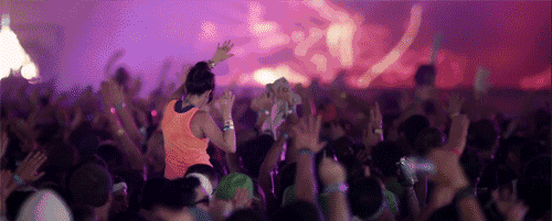 timg (3).gif