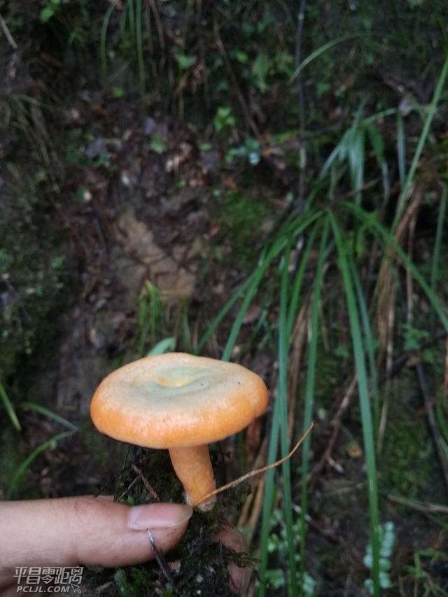 ΢ͼƬ_20171010091257.jpg