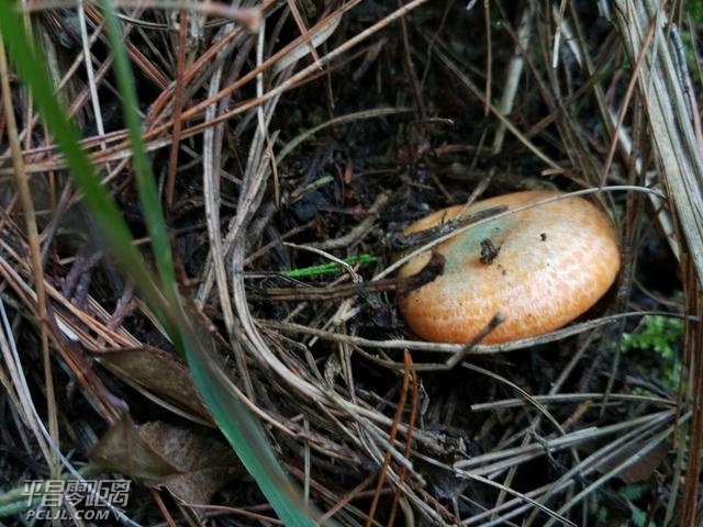 ΢ͼƬ_20171010091301.jpg