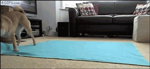 ΢ͼƬ_20171012090957.gif