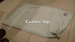 ΢ͼƬ_20171012091004.gif