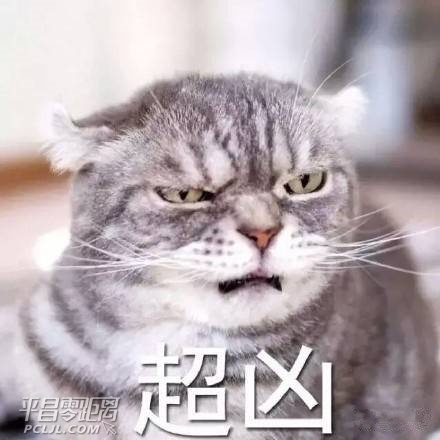 0f174bde-2235-4f57-ae9a-83c284f2eabe.jpg