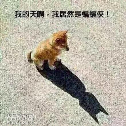 ΢ͼƬ_20171018111410.jpg