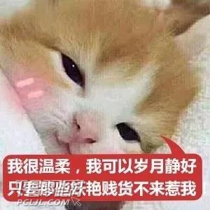΢ͼƬ_20171018111533.jpg