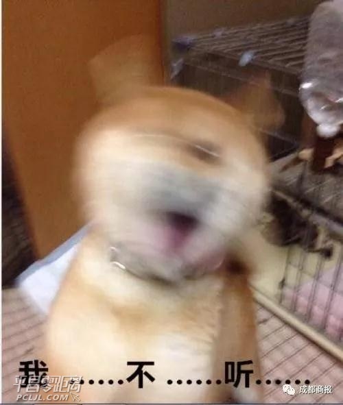 ΢ͼƬ_20171020105428.jpg