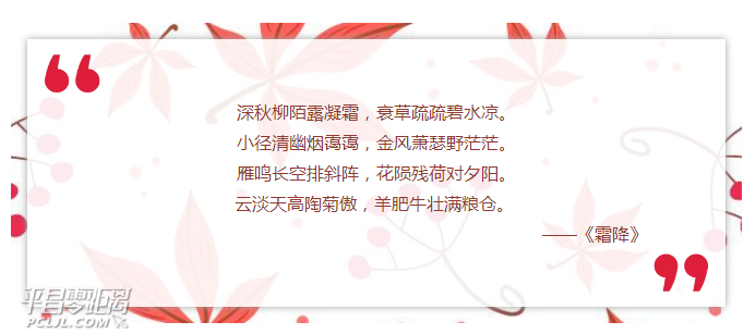 1023093247.png