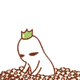 3.gif