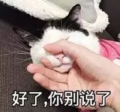 640.webp (22).jpg