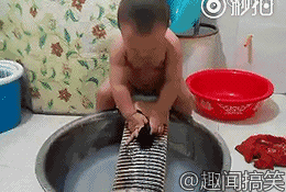 640 (3) - .gif