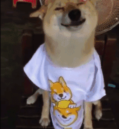 0 (3).gif