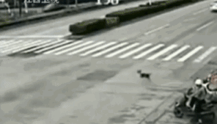 0 (2).gif