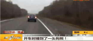 0 (3).gif