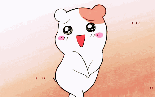 28.gif