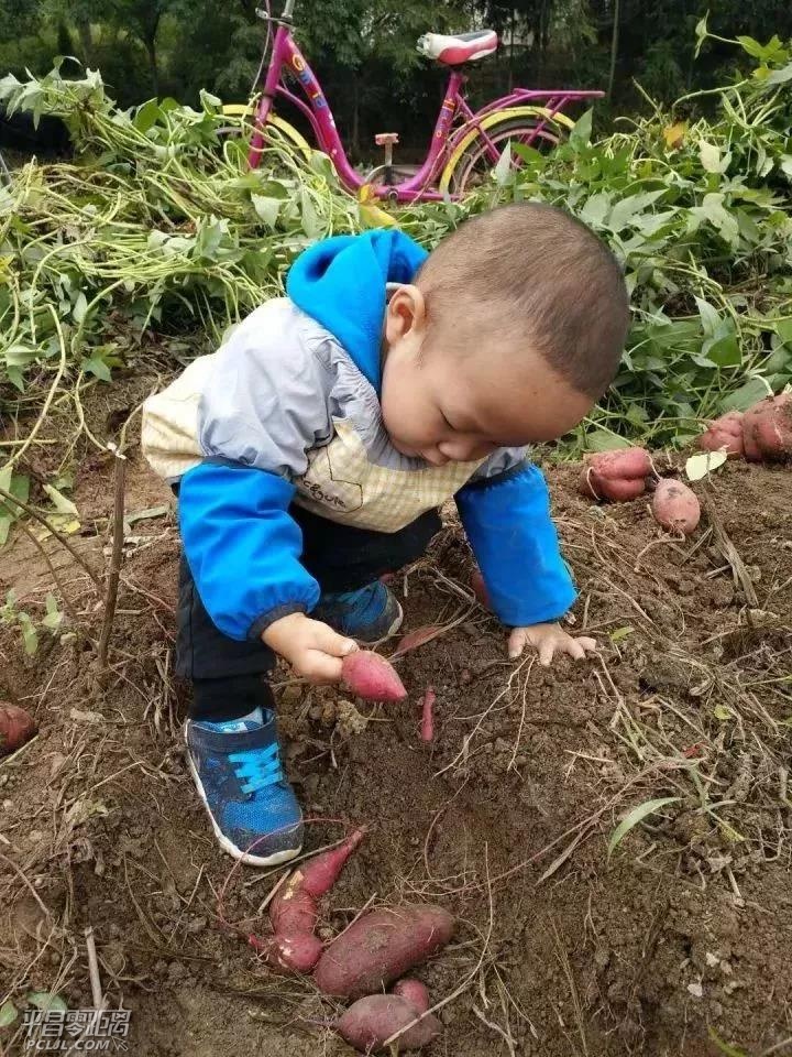 ΢ͼƬ_20171112140751.jpg