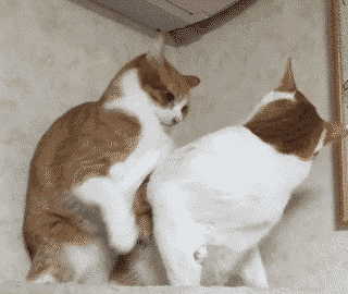 ΢ͼƬ_20171116155825.gif