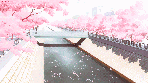 103249a0x2y3iazx9ai2z9.gif