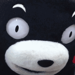 0 (1).gif