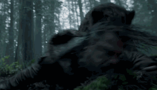 0 (2).gif