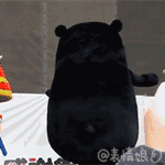 0.gif