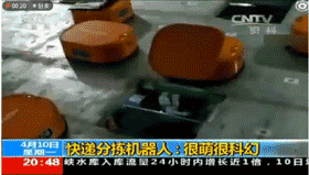 0 (2).gif