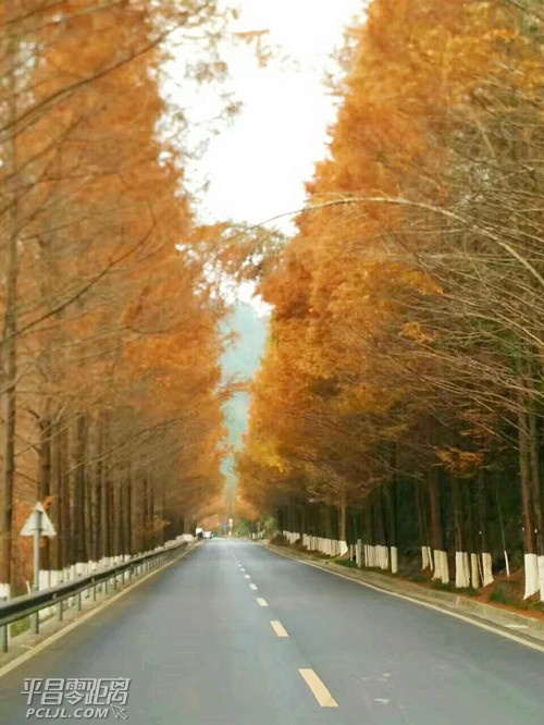 ΢ͼƬ_20171214151333_.jpg