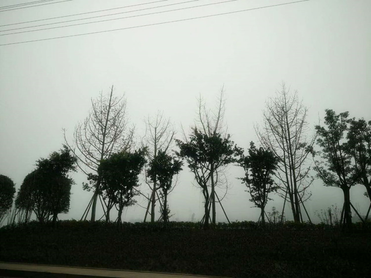 ΢ͼƬ_20171220102505.jpg