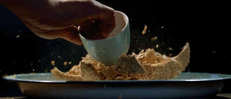 timg.gif