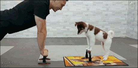 2.gif
