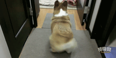 8.gif