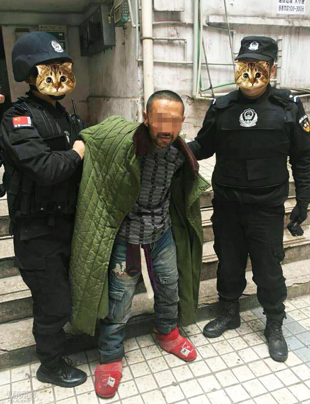 .JPG