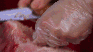 5e4efb0126d44d24a769f6f821e0d0dc.gif