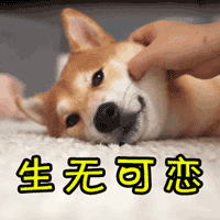 0.gif